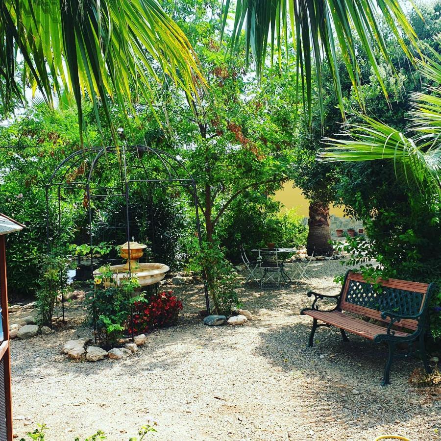 Masia Castellvi B&B Vinyols i Els Arcs Bagian luar foto