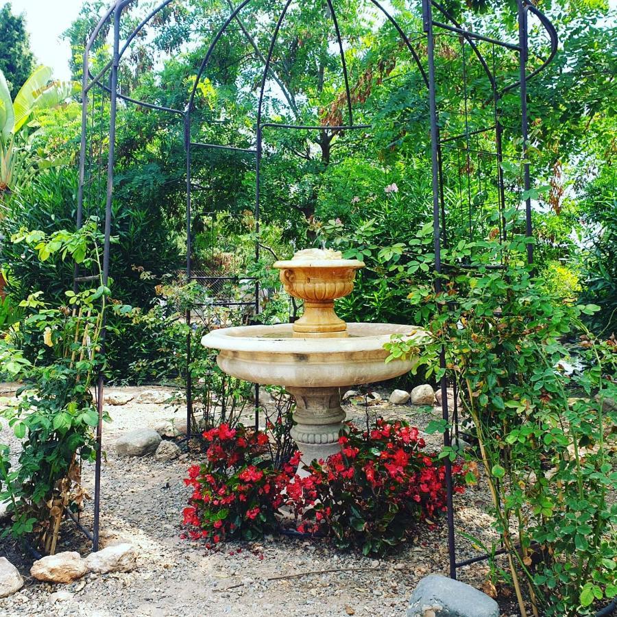 Masia Castellvi B&B Vinyols i Els Arcs Bagian luar foto